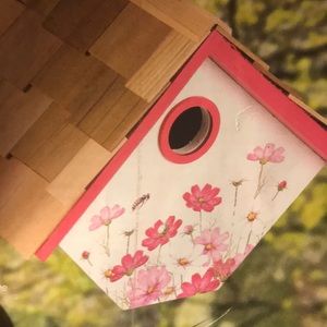 Meet your Posher, Jodi